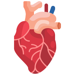 Cardiovascular Diseases