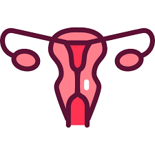 Gynaecology